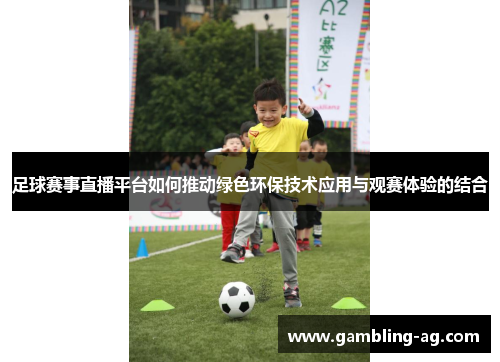 足球赛事直播平台如何推动绿色环保技术应用与观赛体验的结合